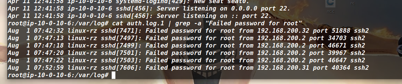 image-20260411204820265