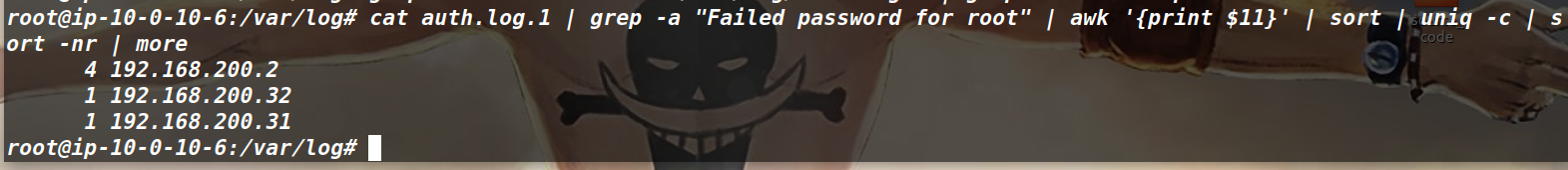 image-20260411205946619